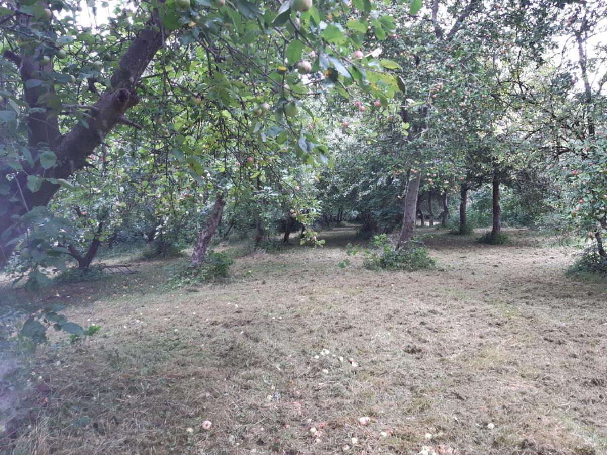 Lundtofthoj Daire Aabenraa Dış mekan fotoğraf
