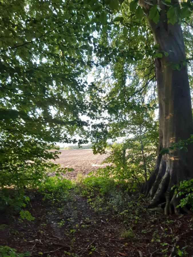 Lundtofthoj Daire Aabenraa Dış mekan fotoğraf