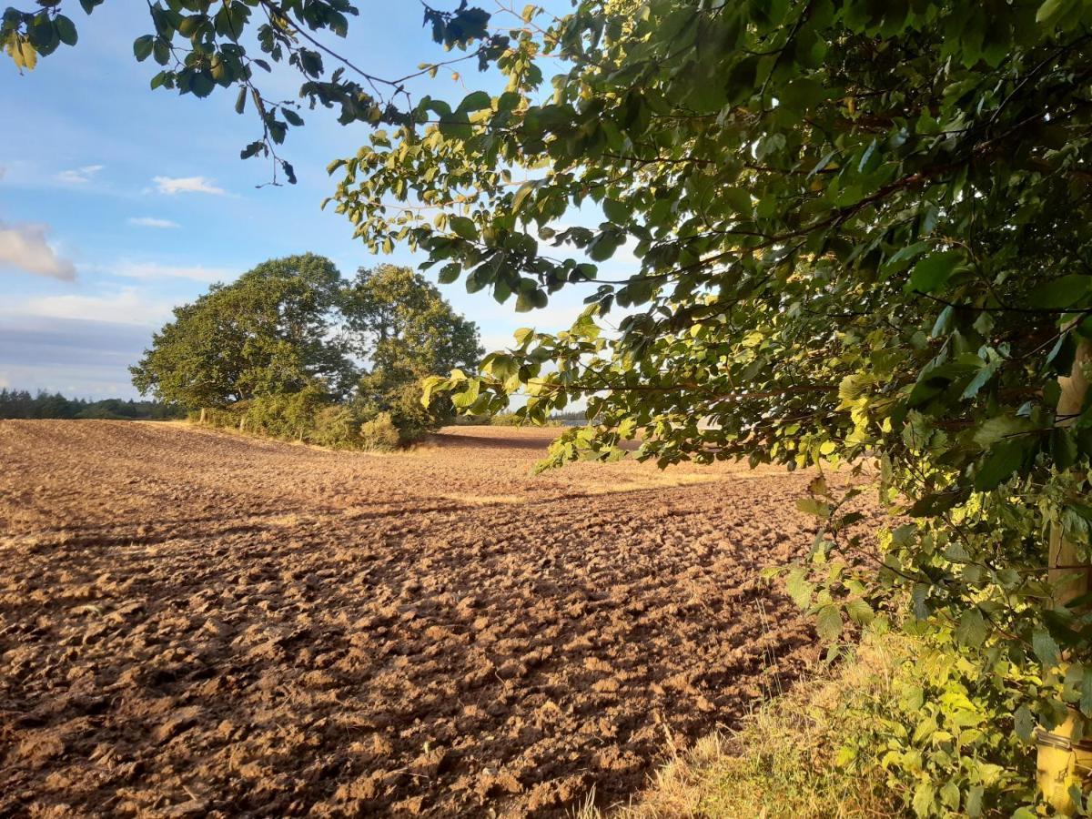 Lundtofthoj Daire Aabenraa Dış mekan fotoğraf