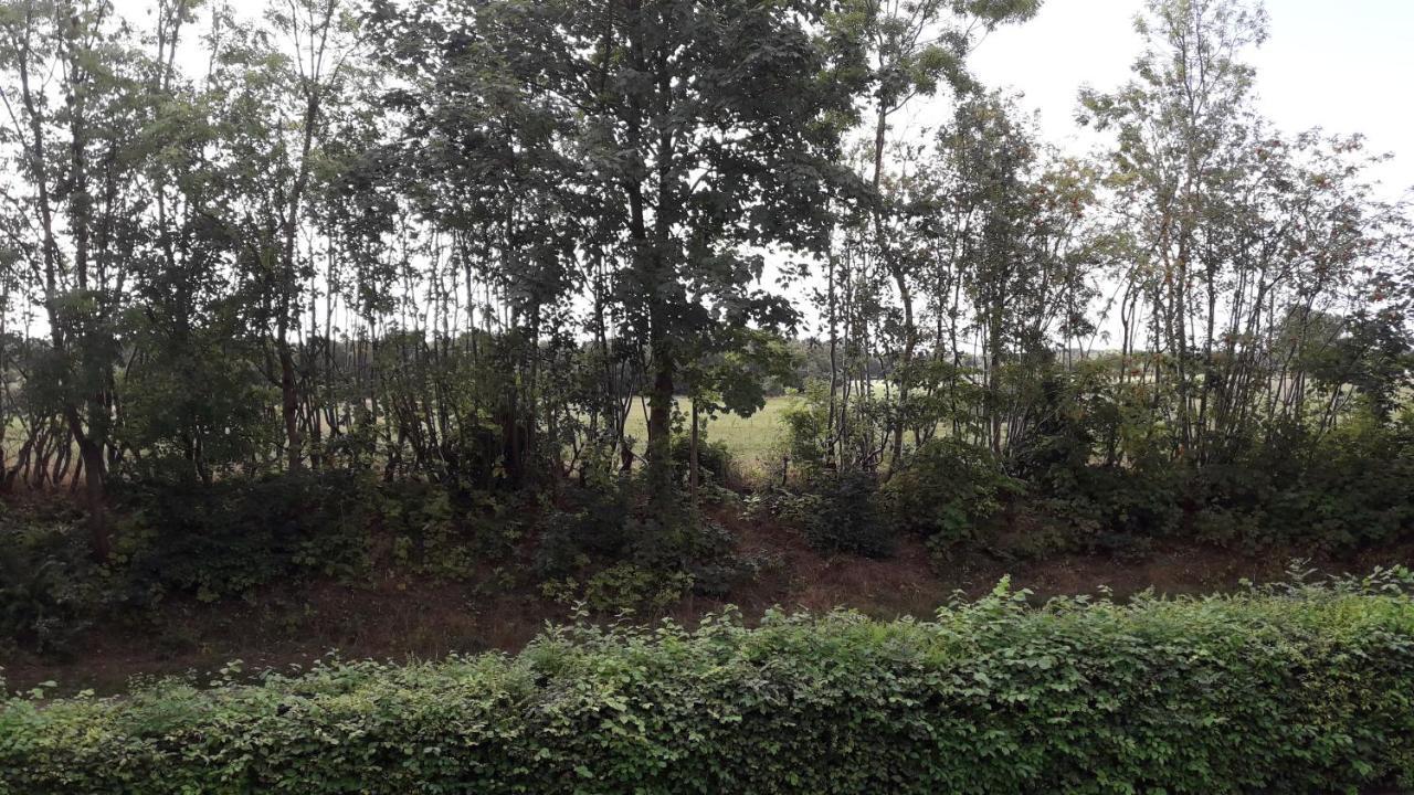 Lundtofthoj Daire Aabenraa Dış mekan fotoğraf